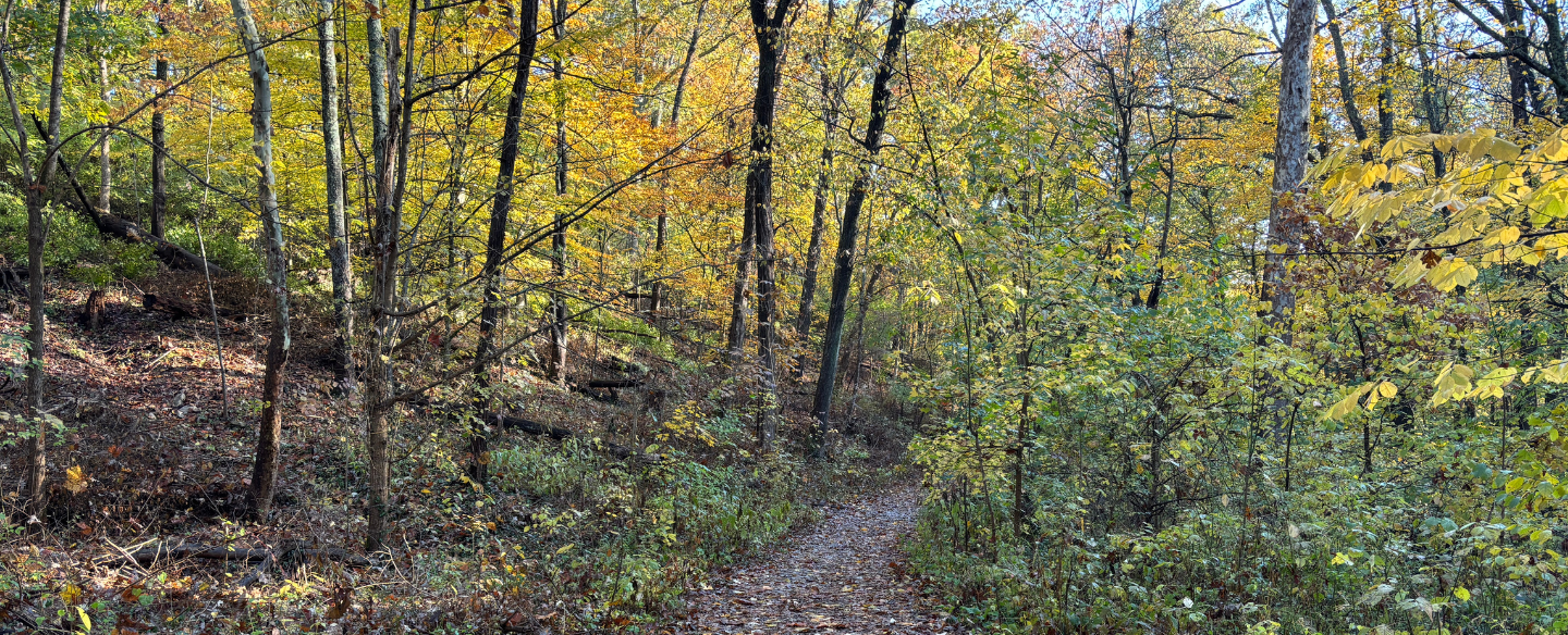 Escape the Cold with Explore Nature Events!