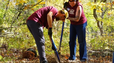 Let's Grow Local Brings Annual Community Tree-Planting Effort to Madisonville