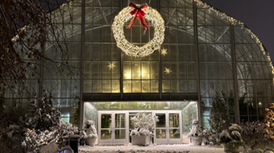 Winter Activities and Lights in Cincinnati Parks