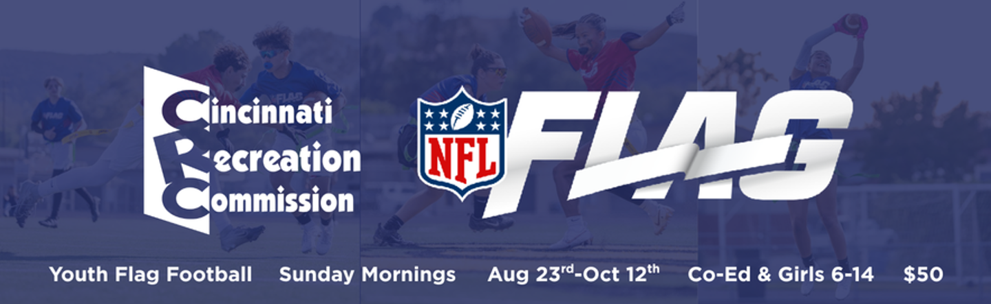 NFL Flag Banner